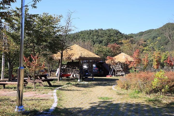 수하 캠핑파크 캠핑장 · GoCamping 제공