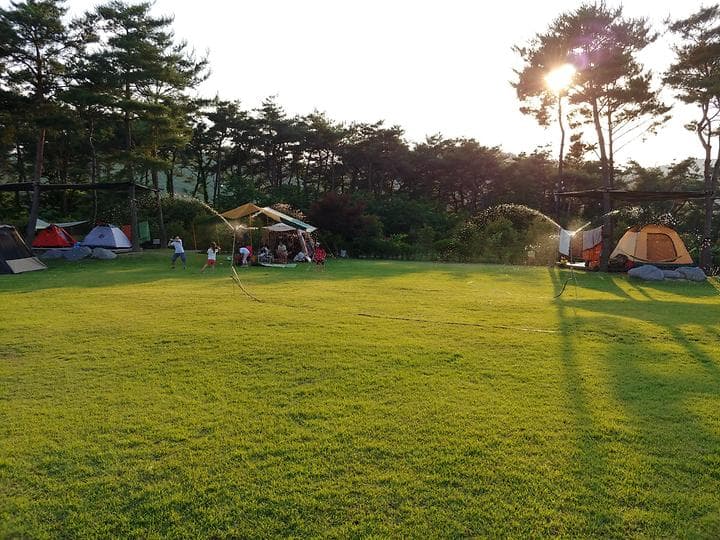 숲속의베리팜 캠핑장 · GoCamping 제공