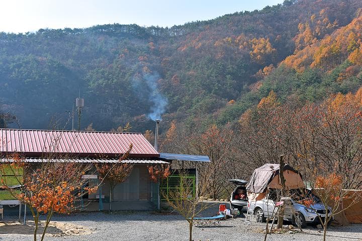 숲이조아캠핑장 캠핑장 · GoCamping 제공