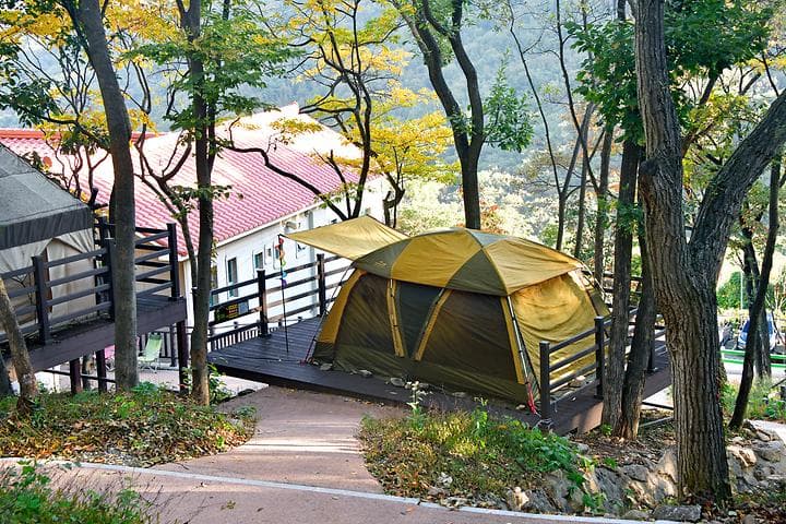 (주)신어산 자연숲캠핑장 캠핑장 · GoCamping 제공
