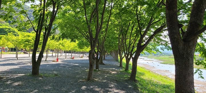 써니밸리오토캠핑장 캠핑장 · GoCamping 제공