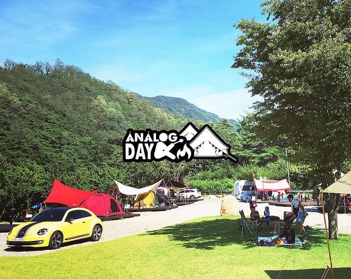 아날로그데이 캠핑장 · GoCamping 제공