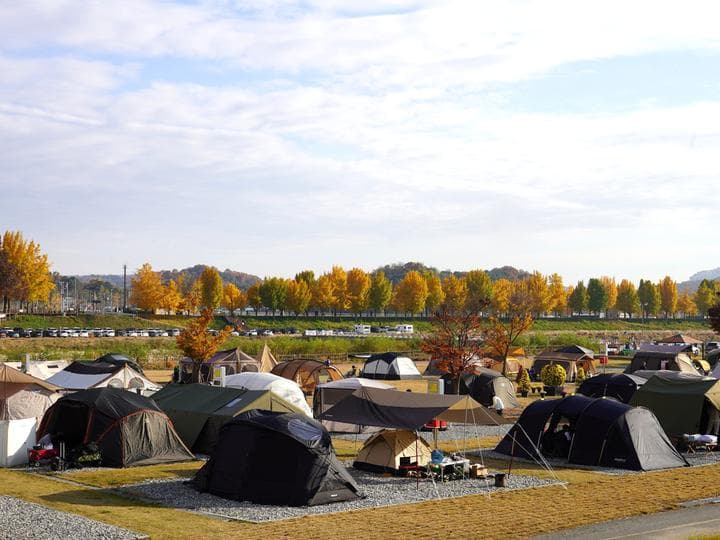 아산곡교천야영장 캠핑장 · GoCamping 제공