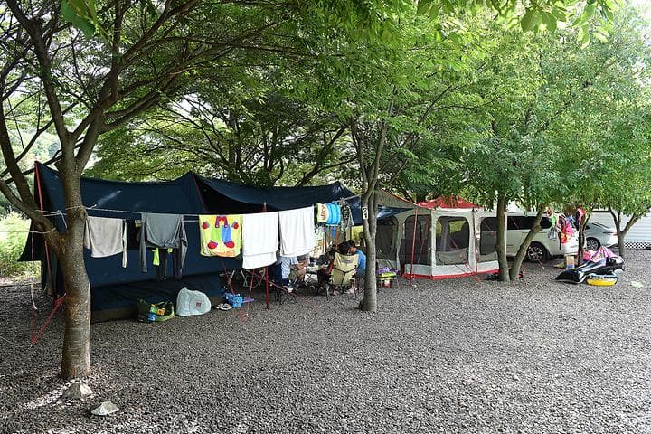 아이비오토캠핑장 캠핑장 · GoCamping 제공