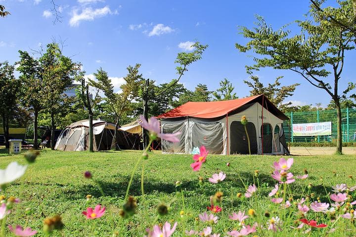 안산화랑오토캠핑장 캠핑장 · GoCamping 제공