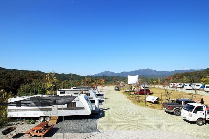 약수골캠프촌 오토캠핑장 캠핑장 · GoCamping 제공