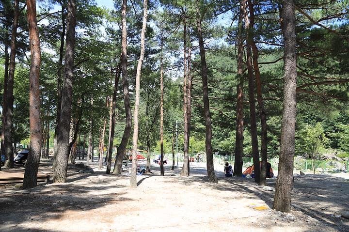 한별마을 야영장 캠핑장 · GoCamping 제공
