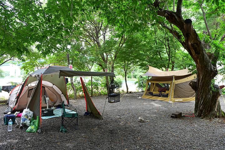 얼음골까투리 펜션&캠핑장 캠핑장 · GoCamping 제공