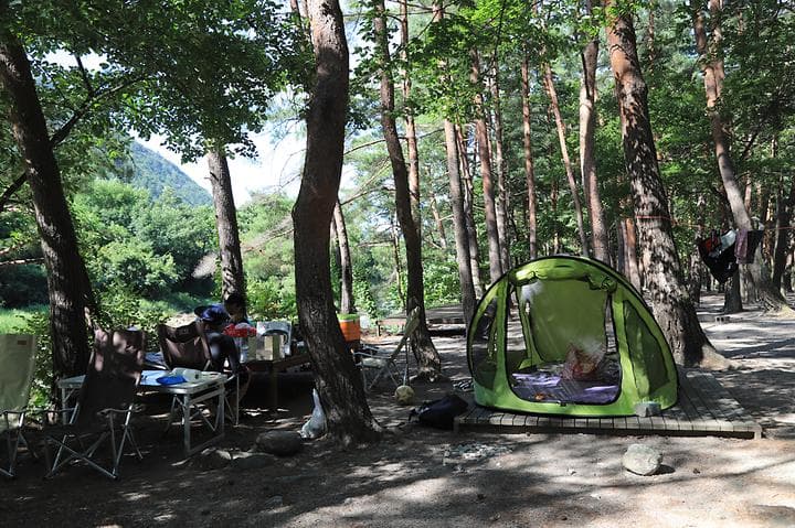 얼음골야영장 캠핑장 · GoCamping 제공