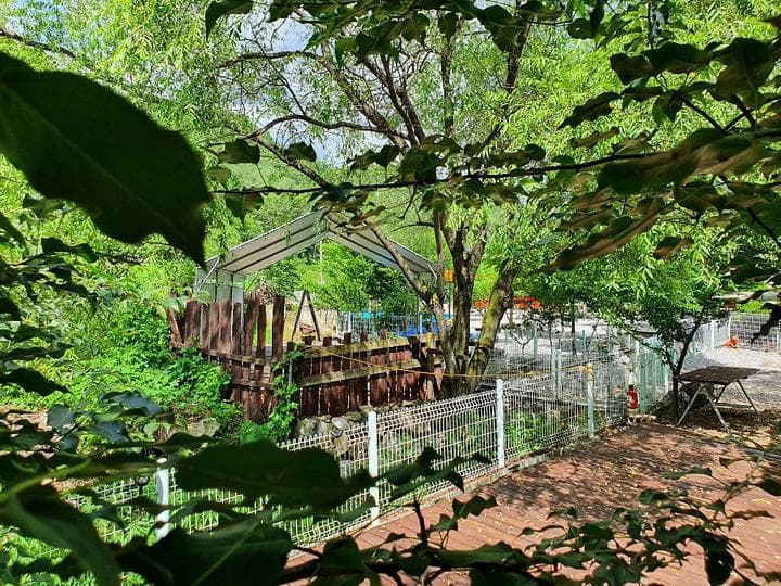 영월천문대 캠핑장 캠핑장 · GoCamping 제공
