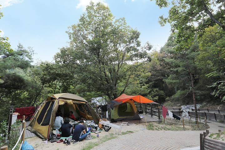 영인산자연휴양림 숲속야영장 캠핑장 · GoCamping 제공