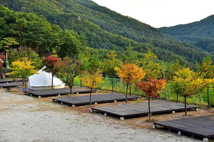 예손농원캠핑장 캠핑장 · GoCamping 제공
