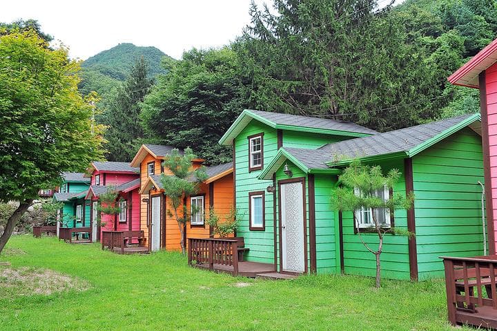 계곡과소나무 캠핑장 캠핑장 · GoCamping 제공