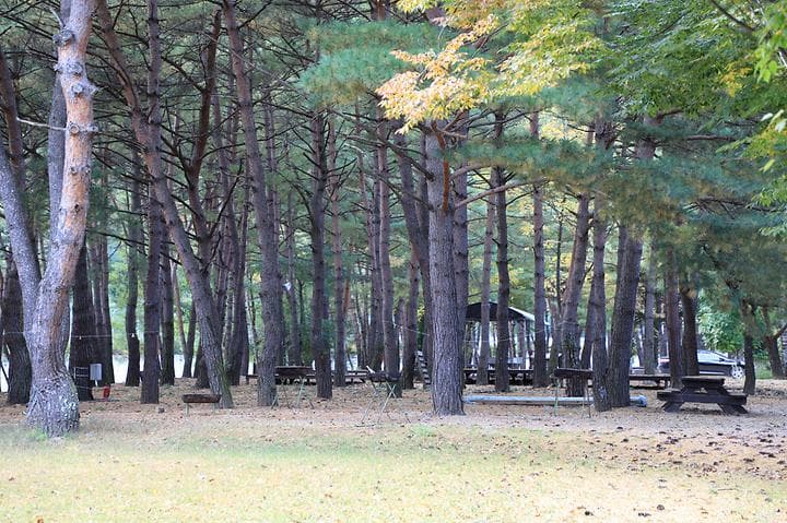 진부(오대산)관광농원 캠핑장 · GoCamping 제공