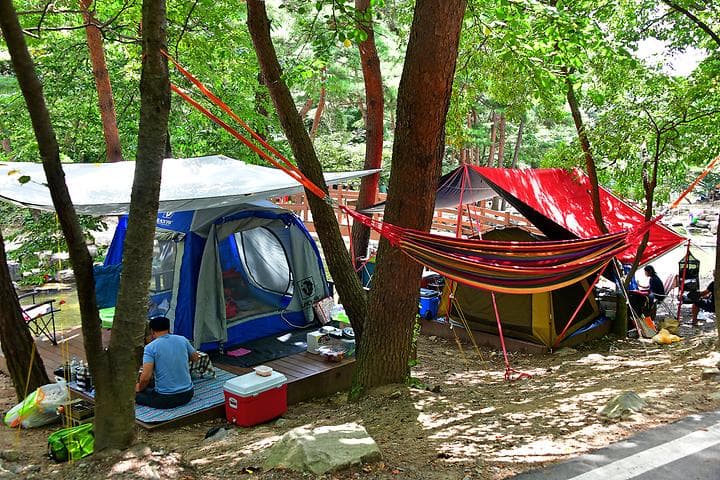오도산 자연휴양림 캠핑장 · GoCamping 제공