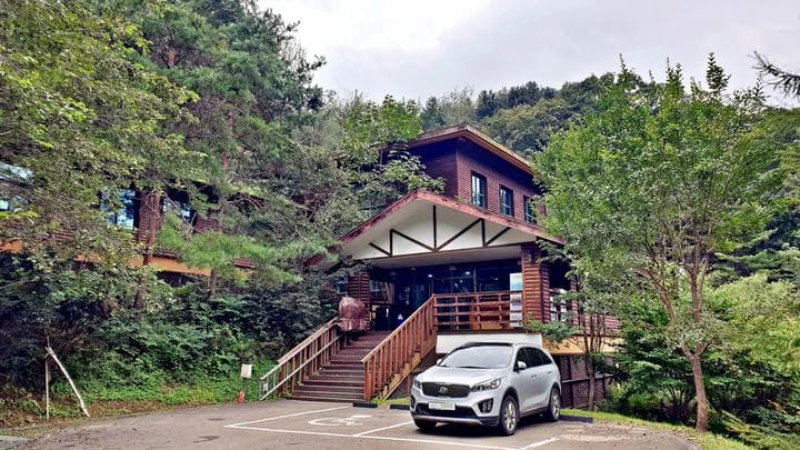 맑은숲캠프 캠핑장 · GoCamping 제공