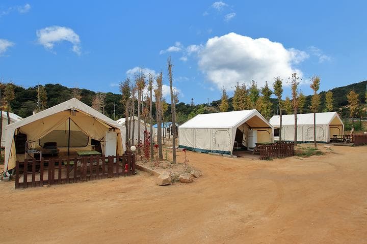 왕산가족오토캠핑장 캠핑장 · GoCamping 제공
