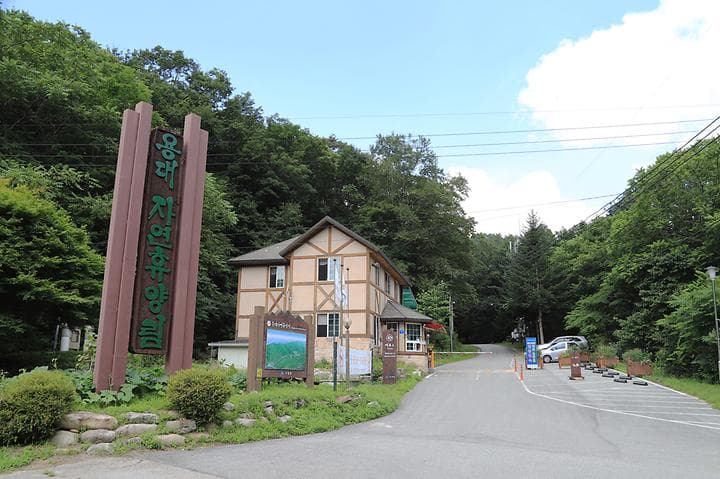 국립용대자연휴양림 캠핑장 · GoCamping 제공