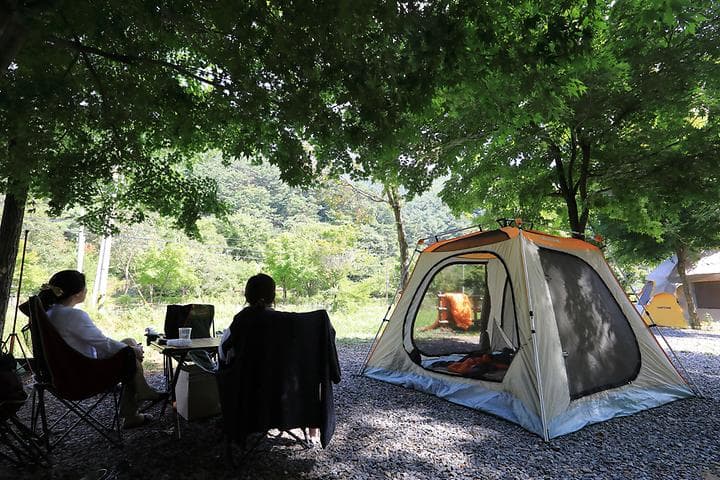 용두산오토캠핑장 캠핑장 · GoCamping 제공
