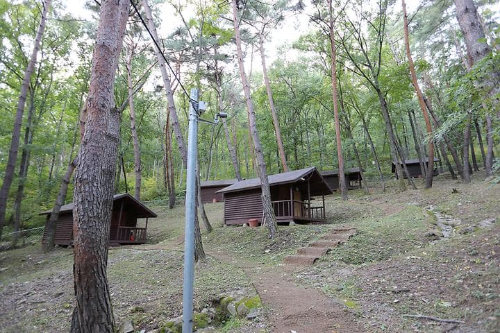 계명산자연휴양림 야영장 캠핑장 · GoCamping 제공