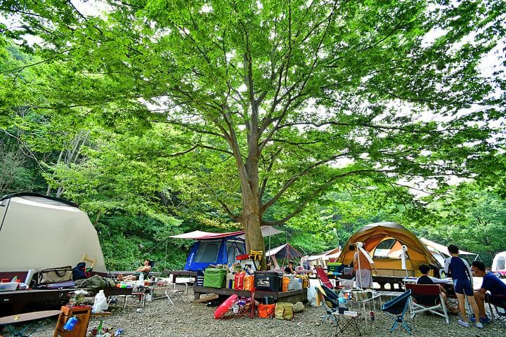 국립운장산자연휴양림 야영장 캠핑장 · GoCamping 제공