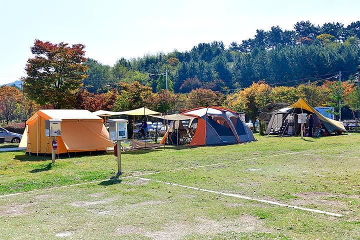 웅포관광지 캠핑장 캠핑장 · GoCamping 제공