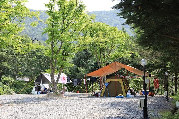 월드니스 캠핑장 · GoCamping 제공
