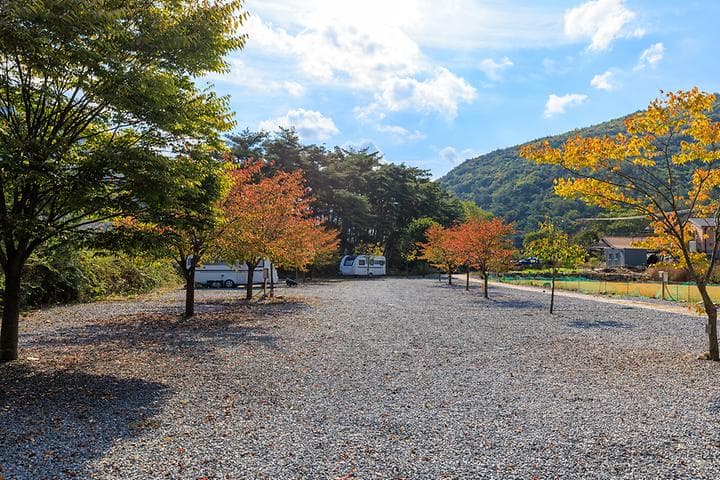 월악산억수솔밭캠핑장 캠핑장 · GoCamping 제공