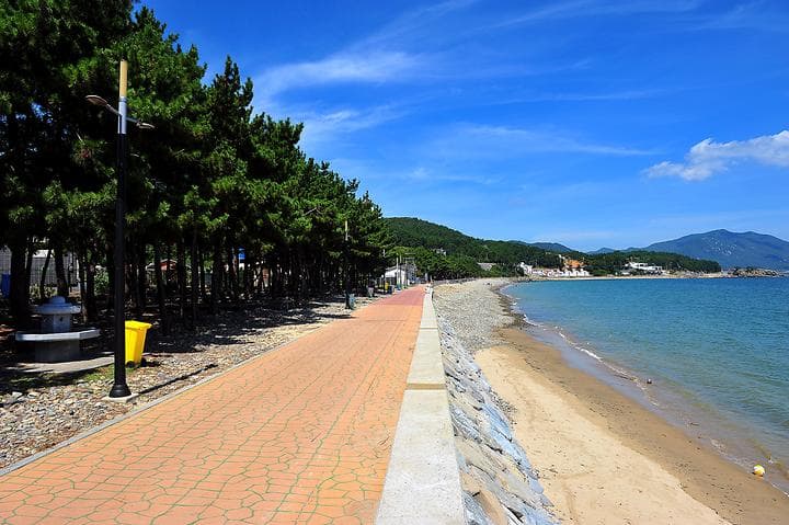 월포해수욕장야영장 캠핑장 · GoCamping 제공