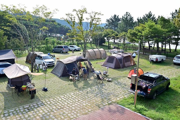 상족암오토캠핑장 캠핑장 · GoCamping 제공