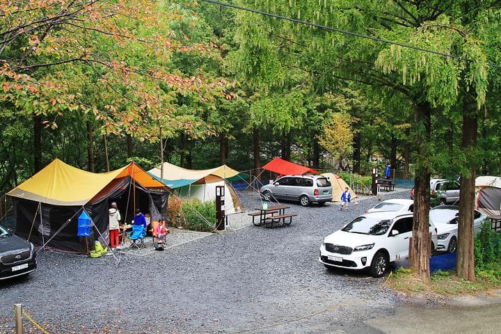 장태산자연휴양림 캠핑장 캠핑장 · GoCamping 제공