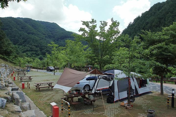 좌구산오토캠핑장 캠핑장 · GoCamping 제공