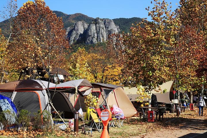 상의자동차야영장 캠핑장 · GoCamping 제공
