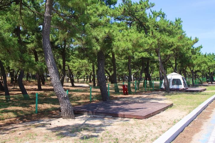 지경국민여가캠핑장 캠핑장 · GoCamping 제공