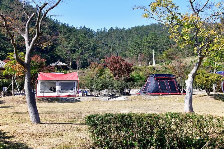 진도풍경오토캠핑장 캠핑장 · GoCamping 제공