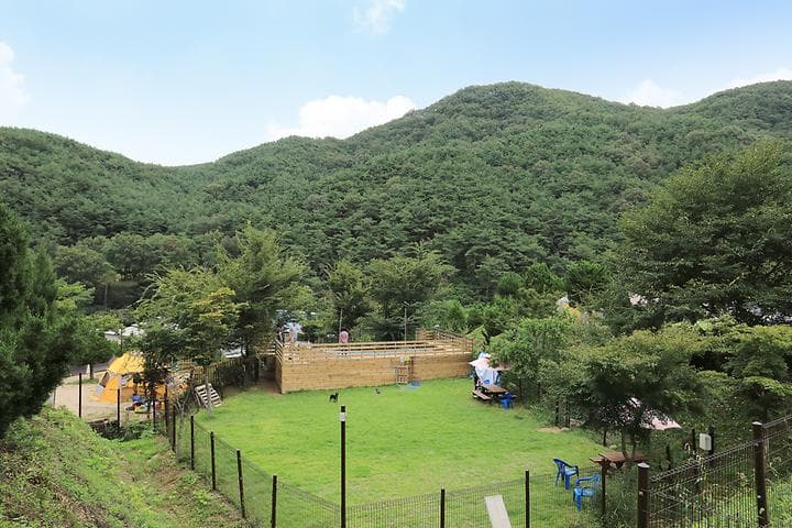 트리독스 애견전용캠핑장 캠핑장 · GoCamping 제공
