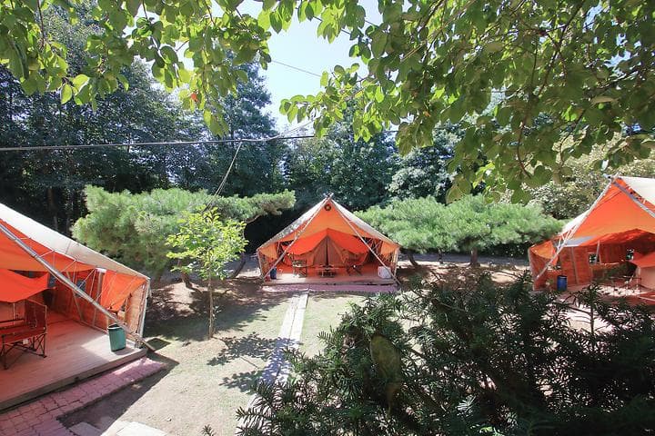 초락나루펜션&글램핑 캠핑장 · GoCamping 제공