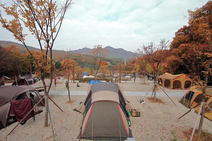 초막골생태공원 느티나무야영장 캠핑장 · GoCamping 제공