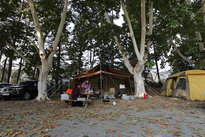 충북대학교 천문대천문체험학교 캠핑장 · GoCamping 제공
