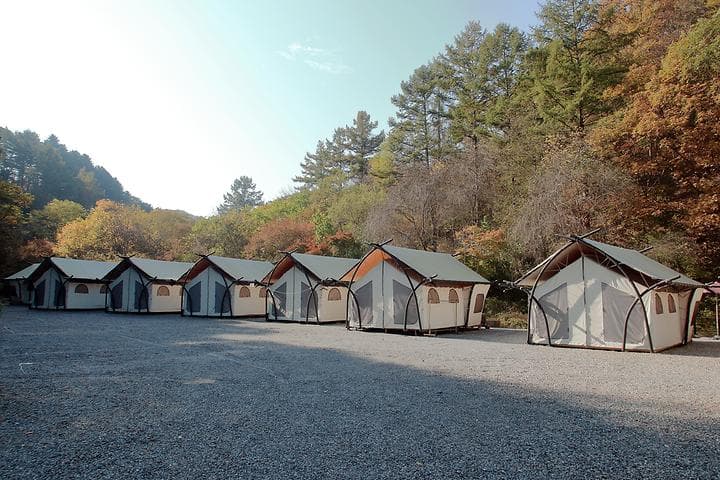 석산계곡 코코비발디글램핑 카라반 오토캠핑장 캠핑장 · GoCamping 제공