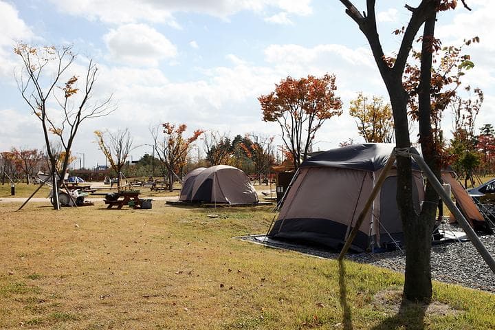킨텍스캠핑장 캠핑장 · GoCamping 제공