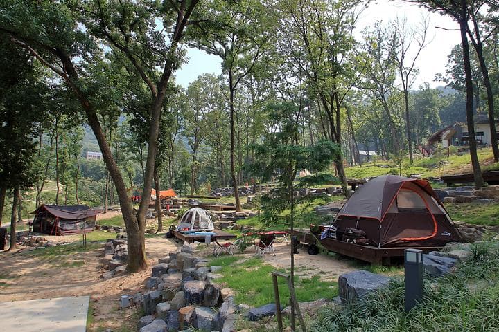 공주산림휴양마을 캠핑장 · GoCamping 제공