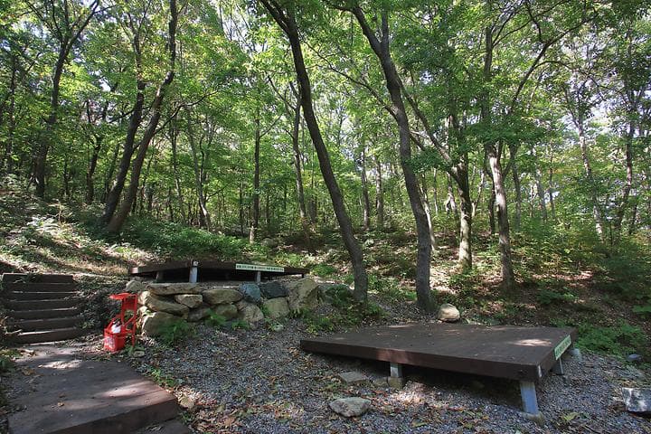 토함산자연휴양림 캠핑장 · GoCamping 제공