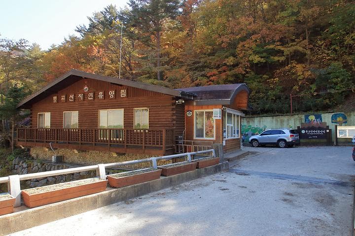 통고산 자연휴양림야영장 캠핑장 · GoCamping 제공