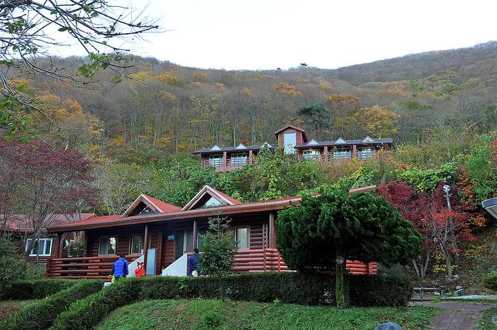 팔영산 자연휴양림 야영장 캠핑장 · GoCamping 제공