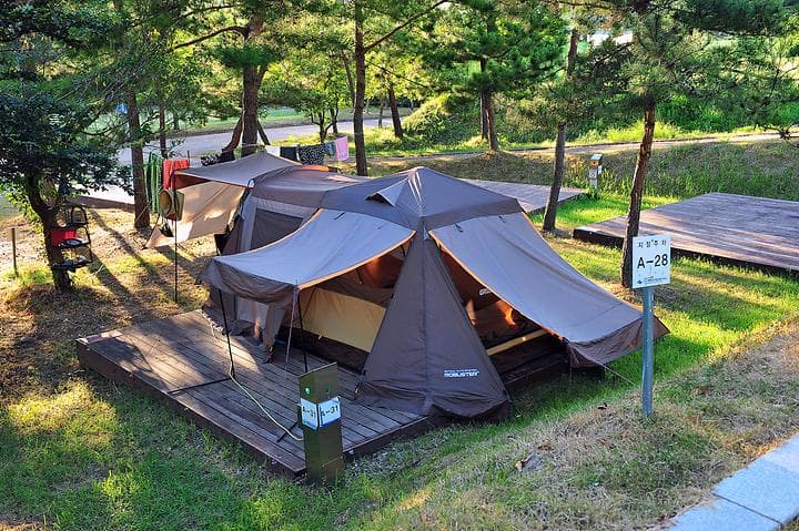 팔영산야영장 캠핑장 · GoCamping 제공