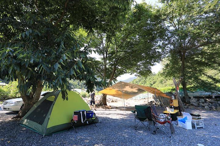 패밀리오토캠핑장(한국전통문화체험학교) 캠핑장 · GoCamping 제공