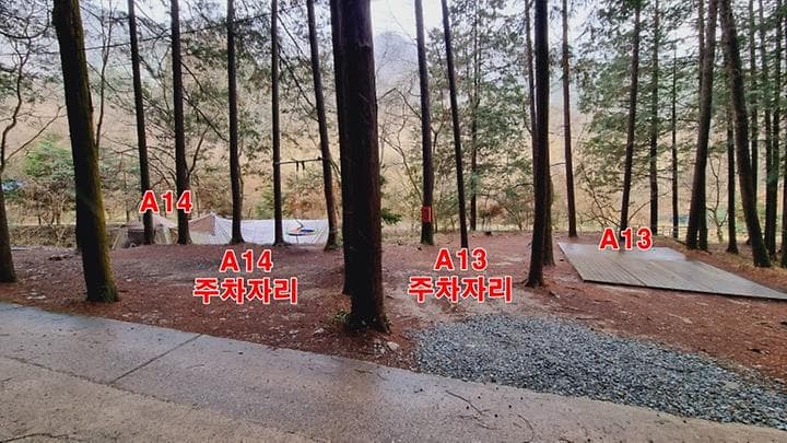 편백힐(치유의숲) 캠핑장 · GoCamping 제공