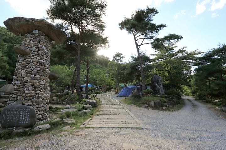 드래곤오토캠핑장 캠핑장 · GoCamping 제공