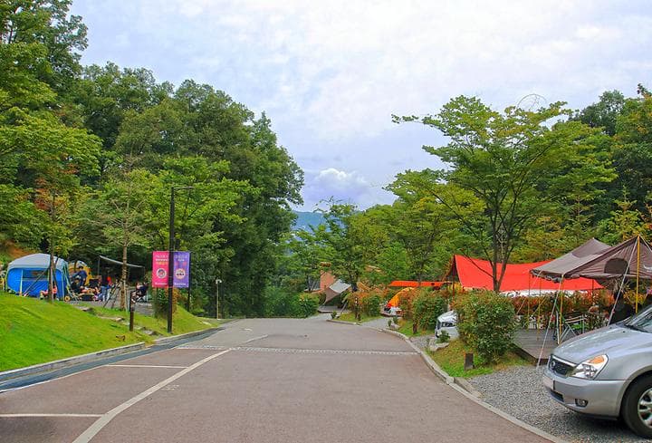 광명도덕산캠핑장 캠핑장 · GoCamping 제공